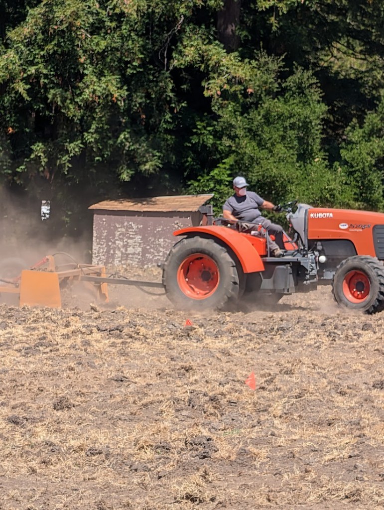 Orange Kubota tractor pulling a box scraper across hole 10