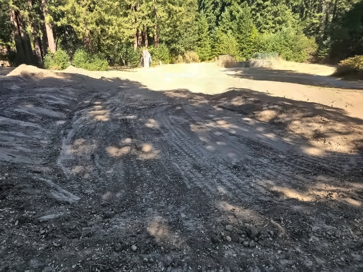 The 11th green, graded and shaped, in afternoon shade with redwoods behind