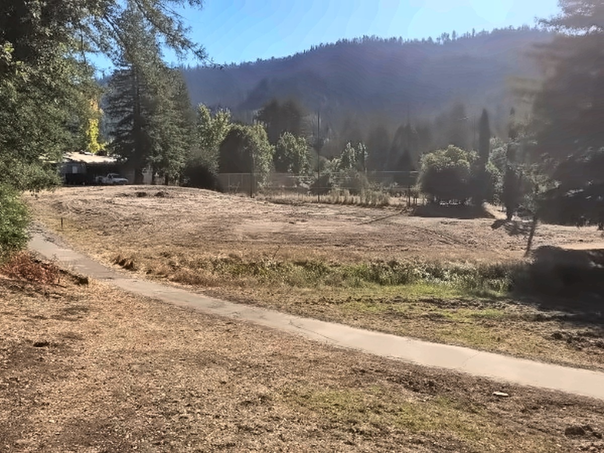 The 12th green across the cart path, graded and shaped, with the hillside forest behind