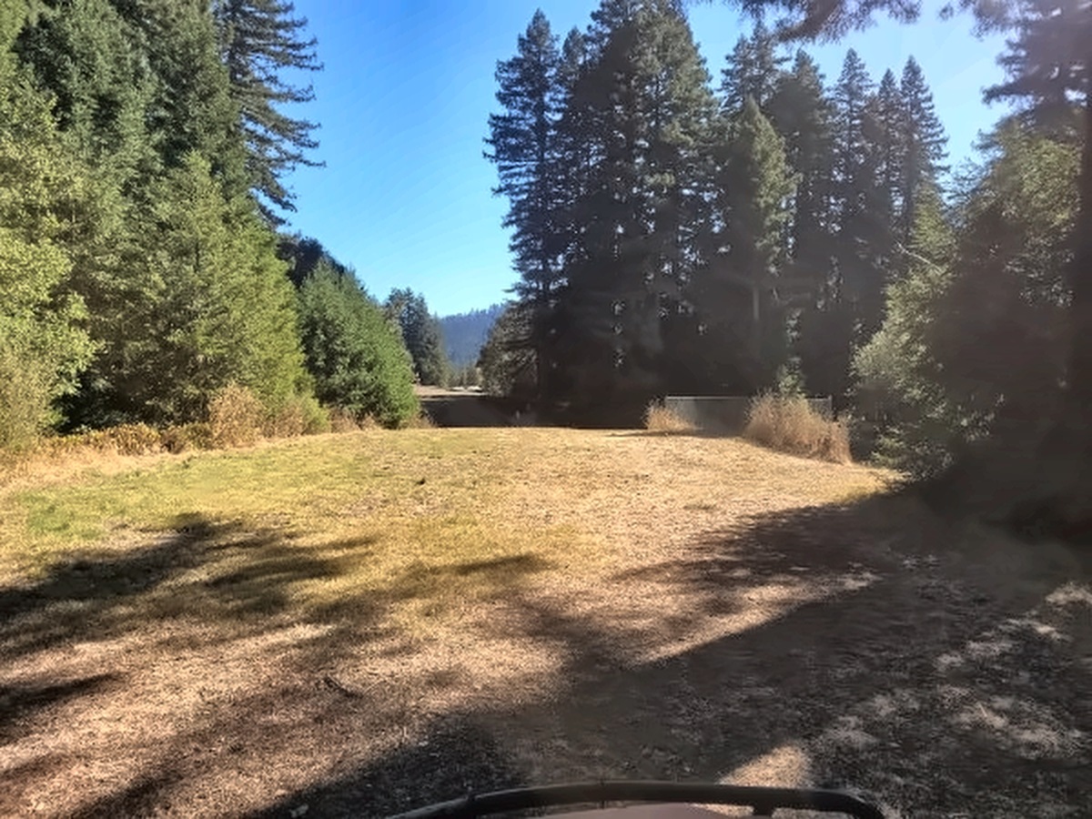 Looking out from the 12th tee box down a corridor of redwoods, with hills in the distance