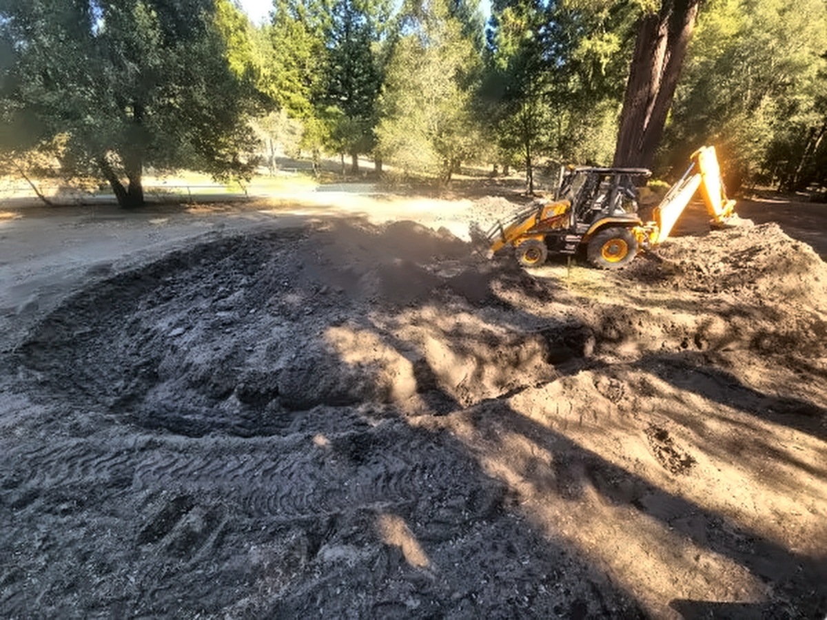 A backhoe breaking ground on the 16th green, with oaks and redwoods behind