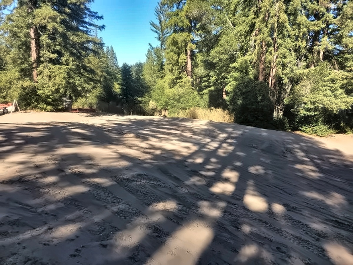The 17th green, freshly raked, in dappled afternoon shade with redwoods behind