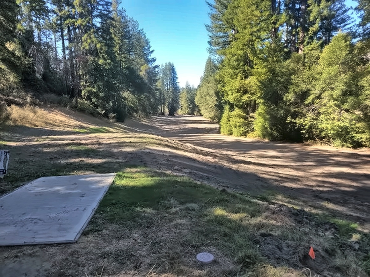 Looking out from the 17th tee box down the raked fairway, lined with redwoods