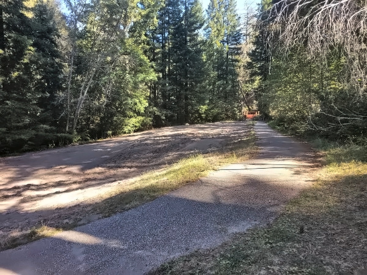The 17th tee box beside the cart path, with redwoods on both sides