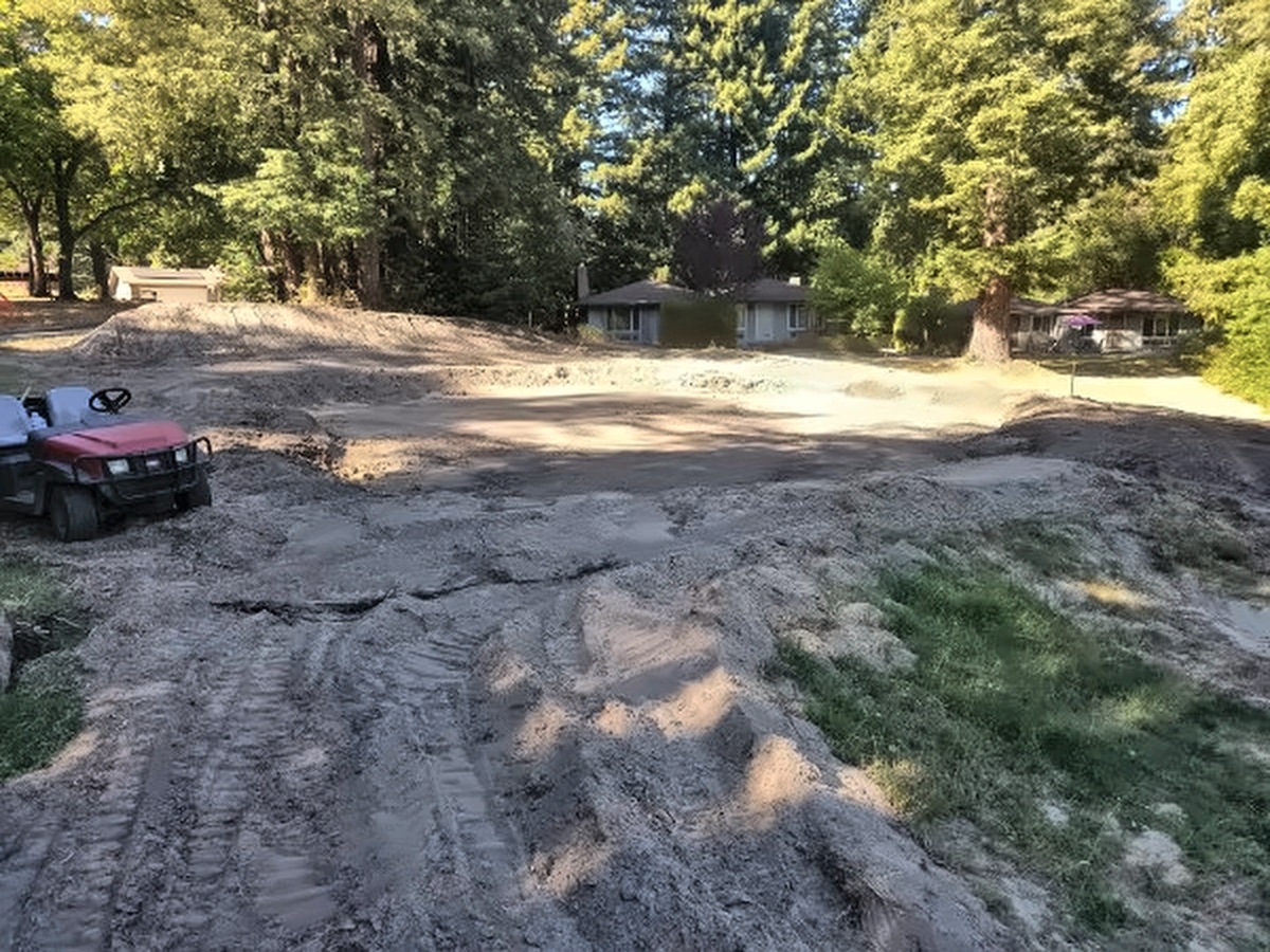 The shaped 18th green in late afternoon light, with a utility cart on the left and redwoods and homes behind