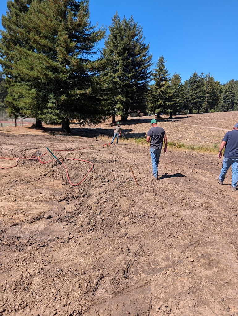 Crew walking across graded dirt on the back nine with redwoods beyond