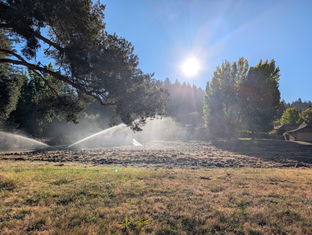 Sprinklers watering freshly tilled ground on the back nine rebuild