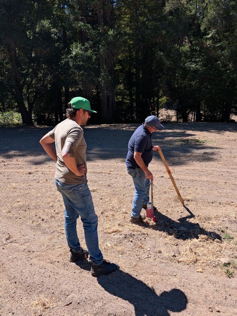 Two crew members staking layout on graded ground under the redwoods